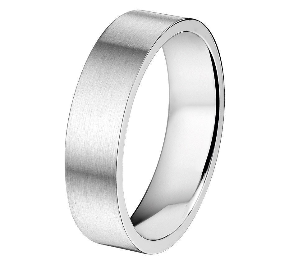 Stalen Ring A508 - 6 mm - zonder cz 6501575 17.00 mm (53)